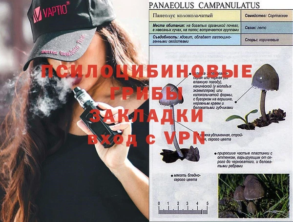 MDMA Инсар