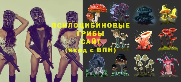 каннабис Инта