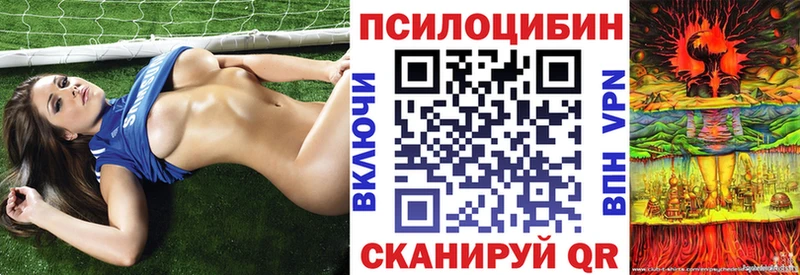 Галлюциногенные грибы MAGIC MUSHROOMS  Каменка 