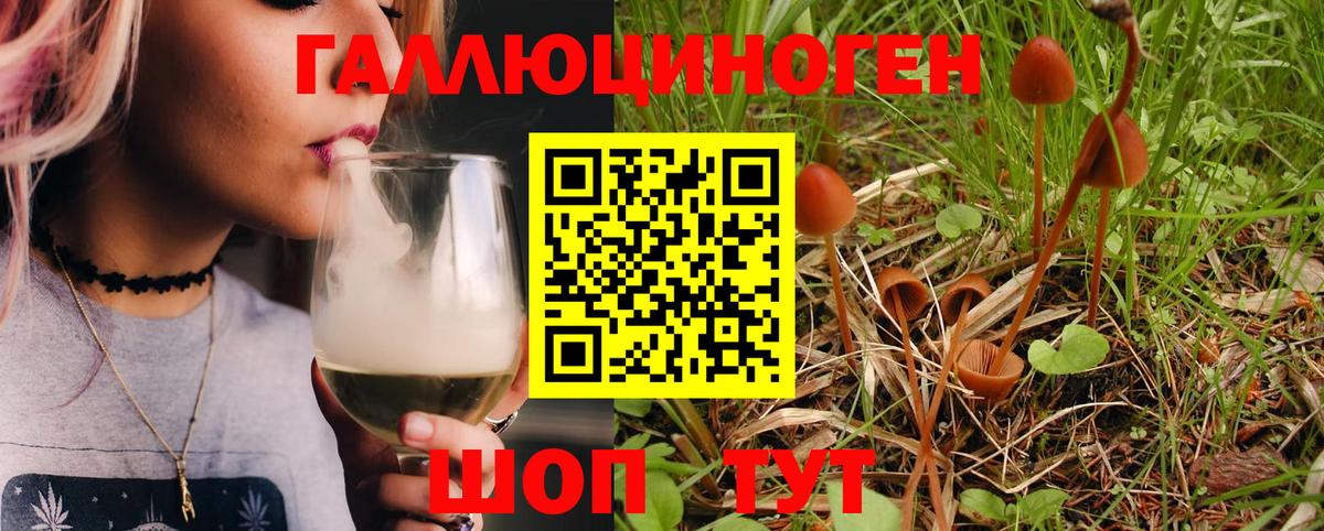Галлюциногенные грибы Psilocybe  Вход с VPN  Псилоцибиновые грибы GOLDEN TEACHER  Каменка 