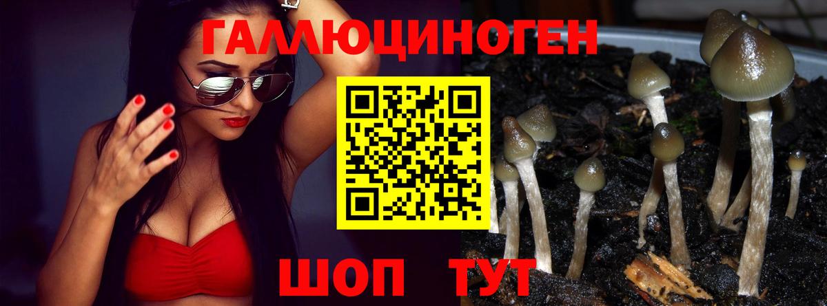 Псилоцибиновые грибы Magic Shrooms Каменка
